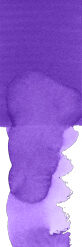 164549-1.jpg