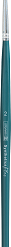 b10-4895202.png